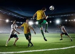 中国女子摔,跤再获三金,佳绩,新葡京,新葡京app,新葡京娱乐,新普京赌场